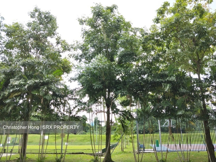 Bukit Batok West Avenue 5 thumbnail photo
